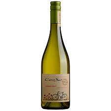 Cono Sur Sauv Blanc Organic