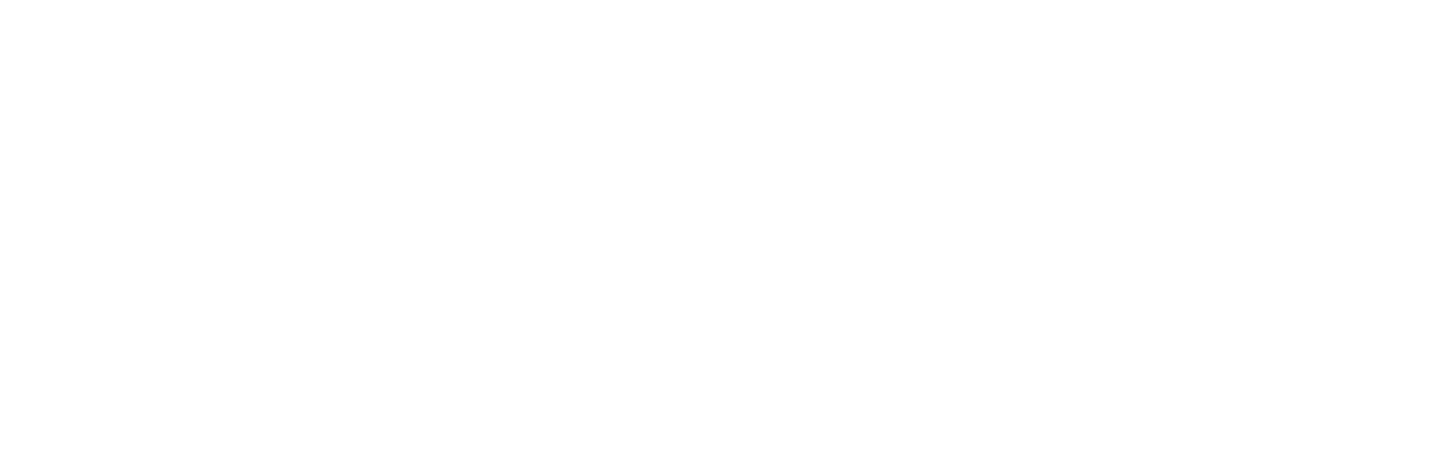 Alexandria Plaza Liquor logo - white