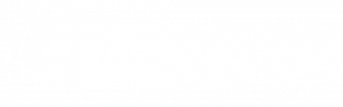 Alexandria Downtown Liquor logo - white